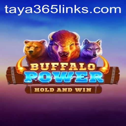 BuffaloPower: Exploring the Game Phenomenon with Taya365